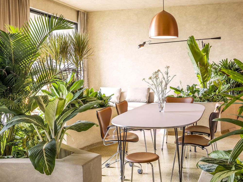 Thiết kế thi công căn hộ 86m2 phong cách nhiệt đới - phòng khách