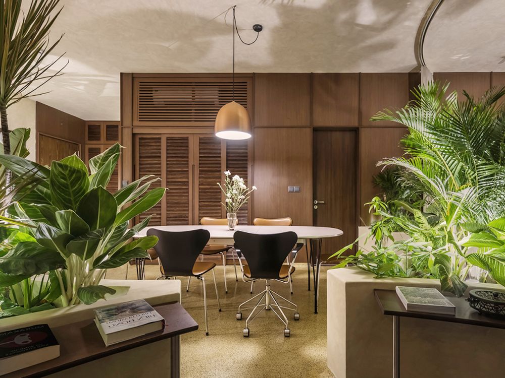 Thiết kế thi công căn hộ 86m2 phong cách nhiệt đới - phòng khách